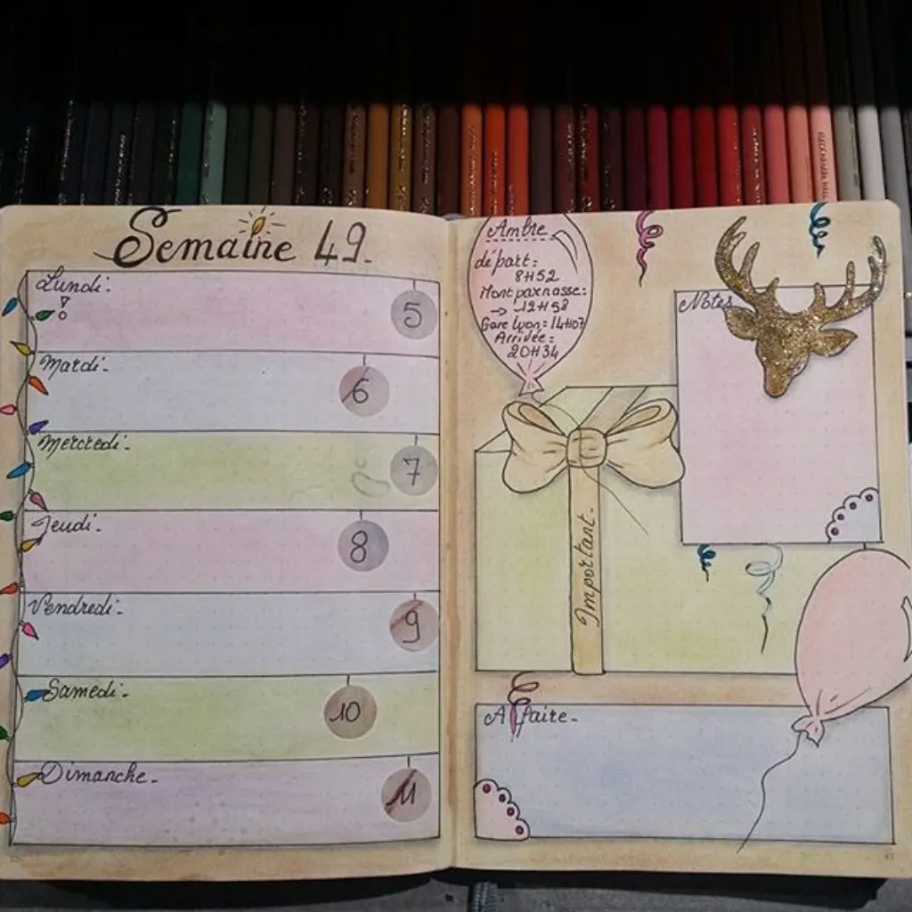 Sur Pinterest Semaine 49 dans mon bullet journal