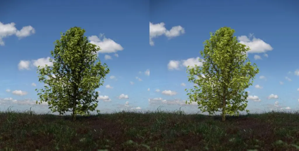 Comparaison AO