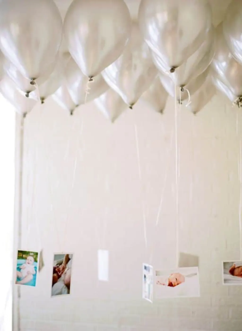 Sur Pinterest #adelynmichele #anniversaire #photography #lapin #belle